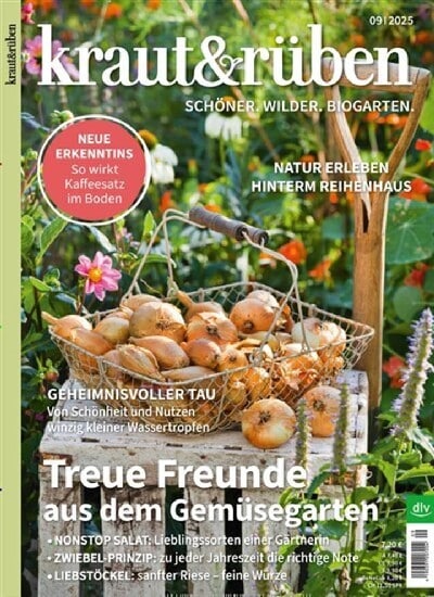 Kraut und Rüben