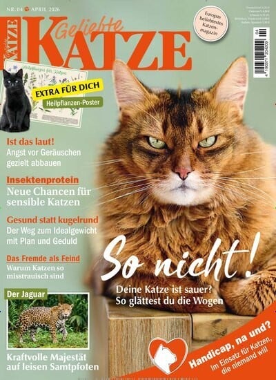 Geliebte Katze
