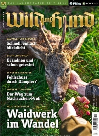 Wild und Hund