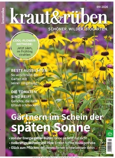 Kraut und Rüben