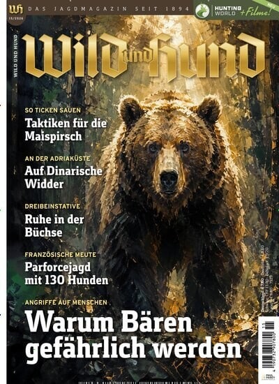 Wild und Hund
