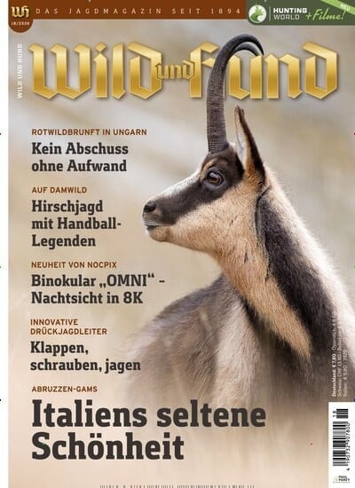Wild und Hund